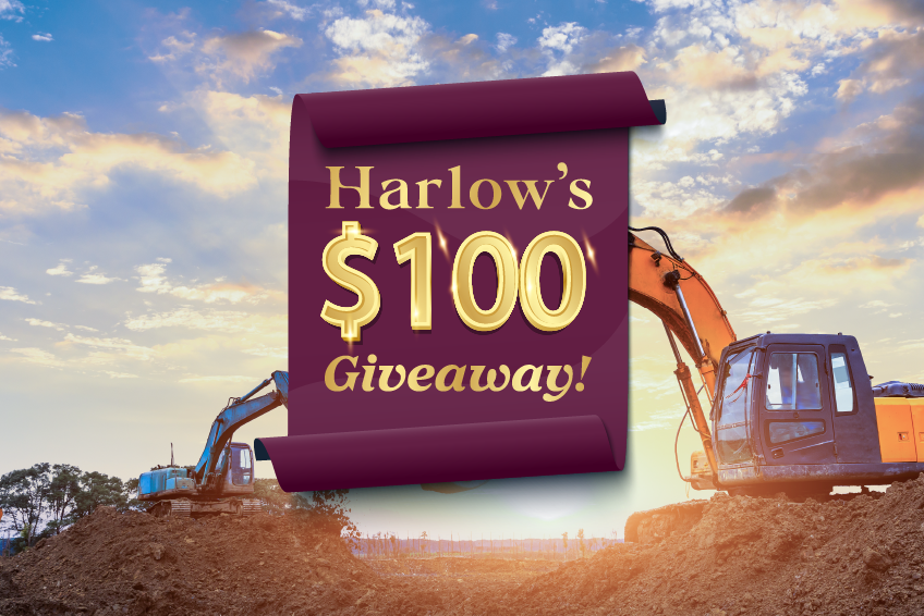 Your Chance to Win with Harlow!